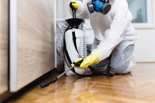 Pest Control for Restaurants in Eveleth, MN