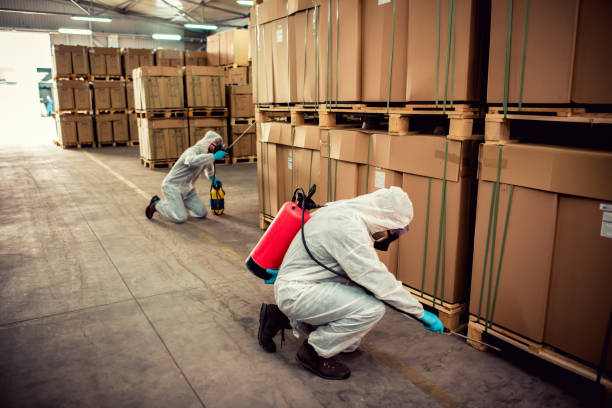 Best Flea Control Services  in Eveleth, MN