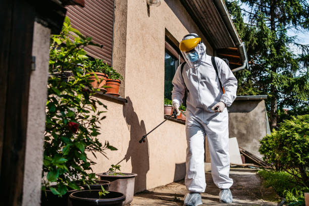 Best Pest Inspection Near Me  in Eveleth, MN