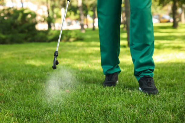 Best Wasp Removal Services  in Eveleth, MN