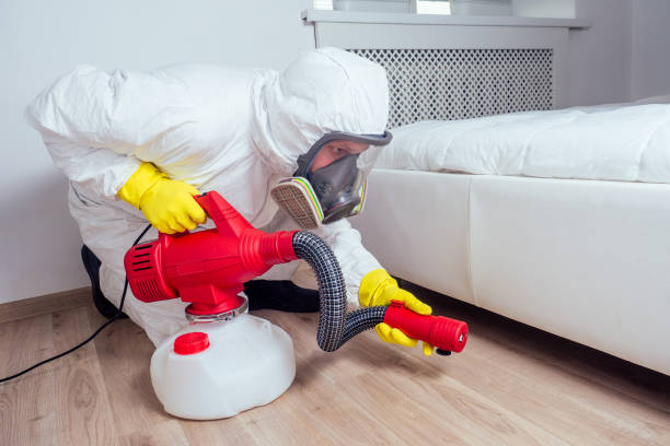 Best Mosquito Control Services  in Eveleth, MN