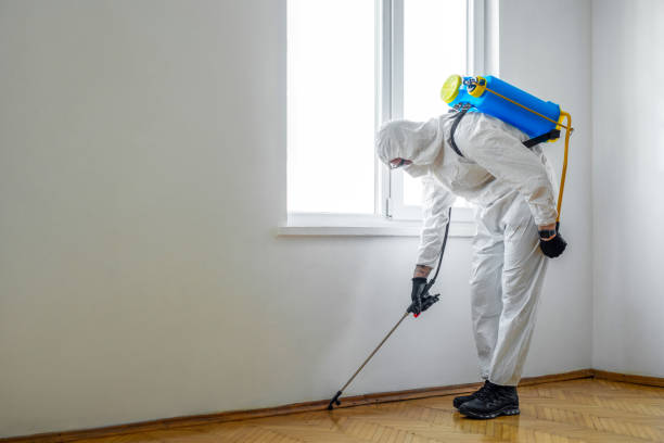 Best Pest Prevention Services  in Eveleth, MN