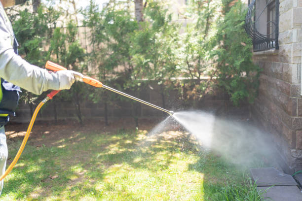 Best Best Pest Control Companies  in Eveleth, MN
