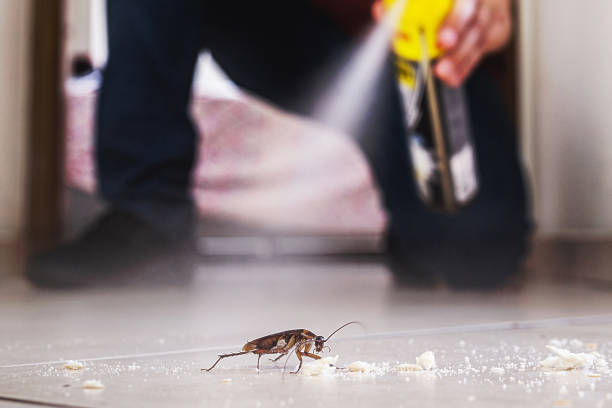 Eveleth, MN Pest Control Company